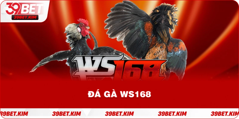 ĐÁ GÀ WS168 Tại SODO66