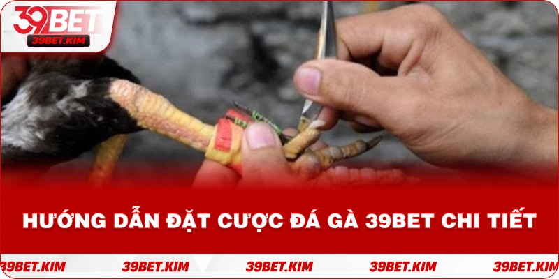 Hướng dẫn đặt cược đá gà 39BET chi tiết