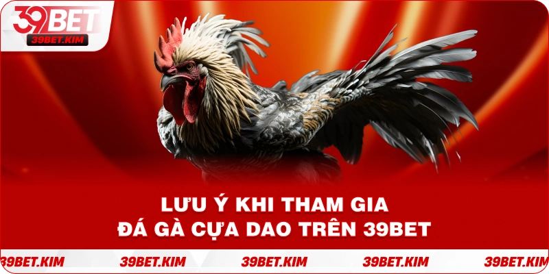 Lưu ý khi tham gia đá gà cựa dao trên 39BET