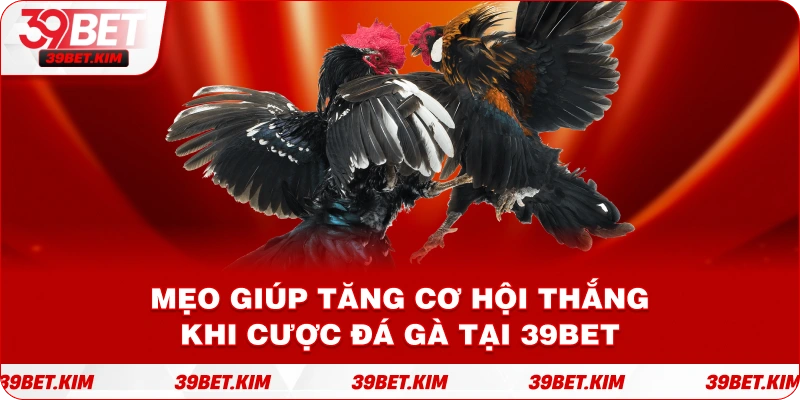 Mẹo Giúp Tăng Cơ Hội Thắng Khi Cược Đá Gà tại 39bet