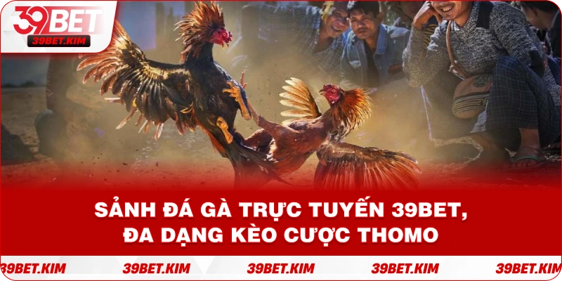 Sảnh đá gà trực tuyến 39BET , đa dạng kèo cược Thomo.