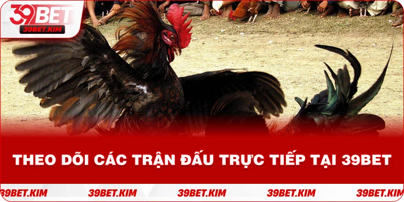 Theo Dõi Các Trận Đấu Trực Tiếp Tại 39bet